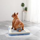 Sanitário Higiênico Pet Limpeza Fácil